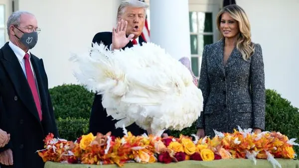 Donald Trump cumple con la tradici&oacute;n de indultar a un pavo por Acci&oacute;n de Gracias