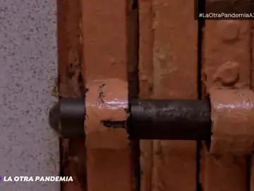 Día contra la violencia de género. Especial La otra pandemia Día contra la violencia de género. Especial La otra pandemia