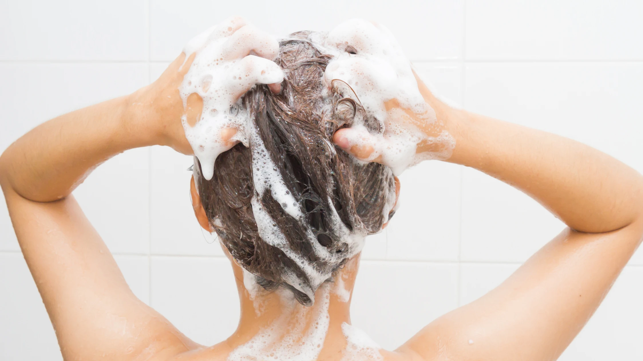 Champú de pelo Champú de pelo
