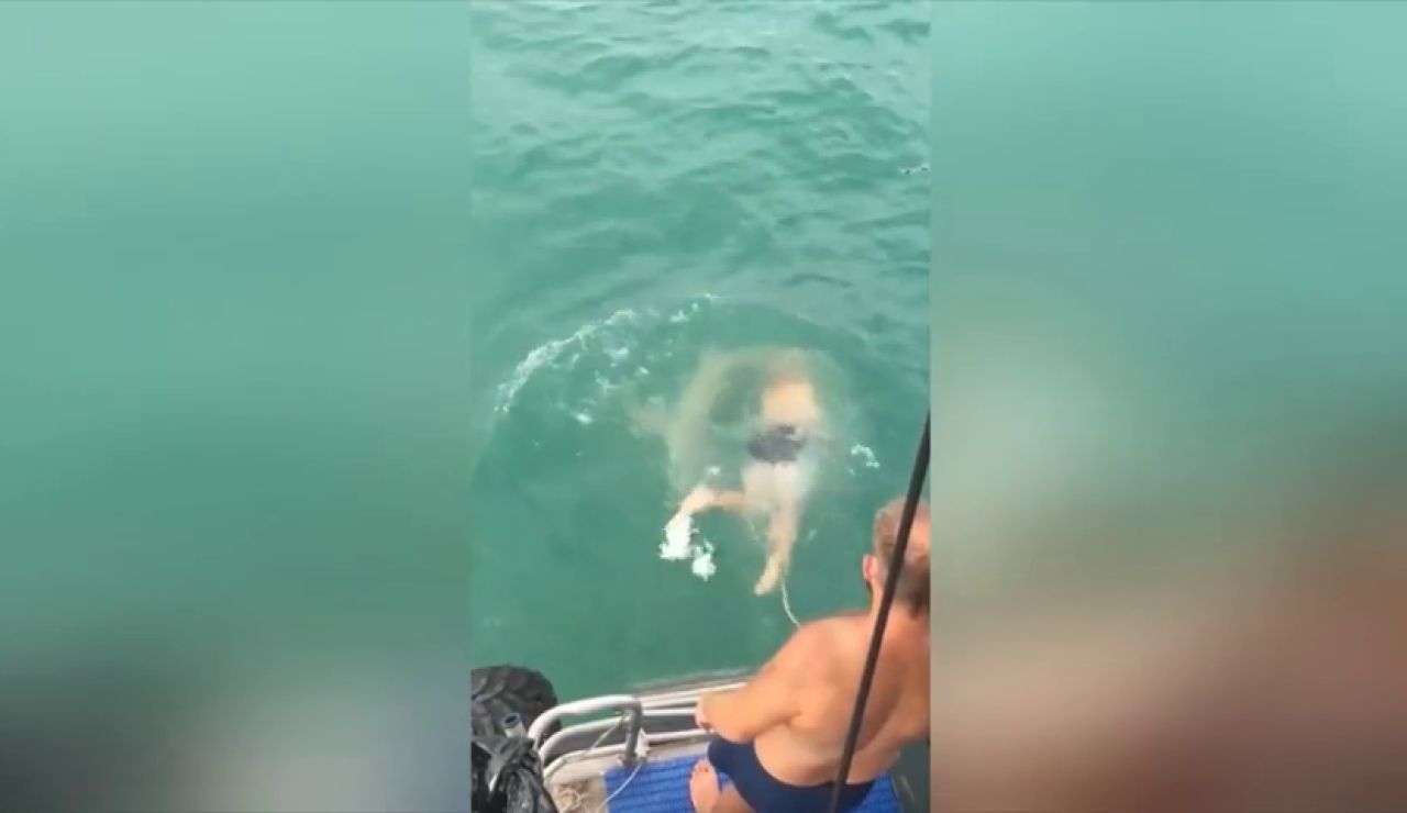VÍDEO: Un hombre se lanza al mar para pelear con un tiburón y pierde la batalla
