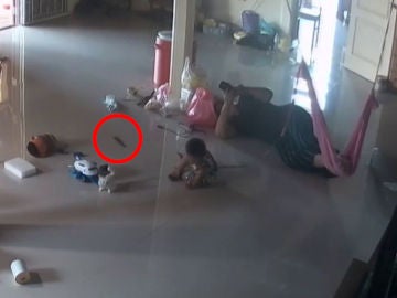 Una madre evita en el último segundo que un ciempiés venenoso gigante muerda a su bebé