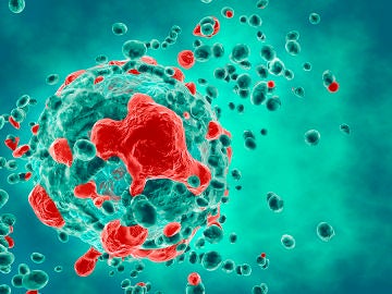 La Universidad de Sevilla consigue un nuevo avance en la búsqueda de una vacuna contra el cáncer