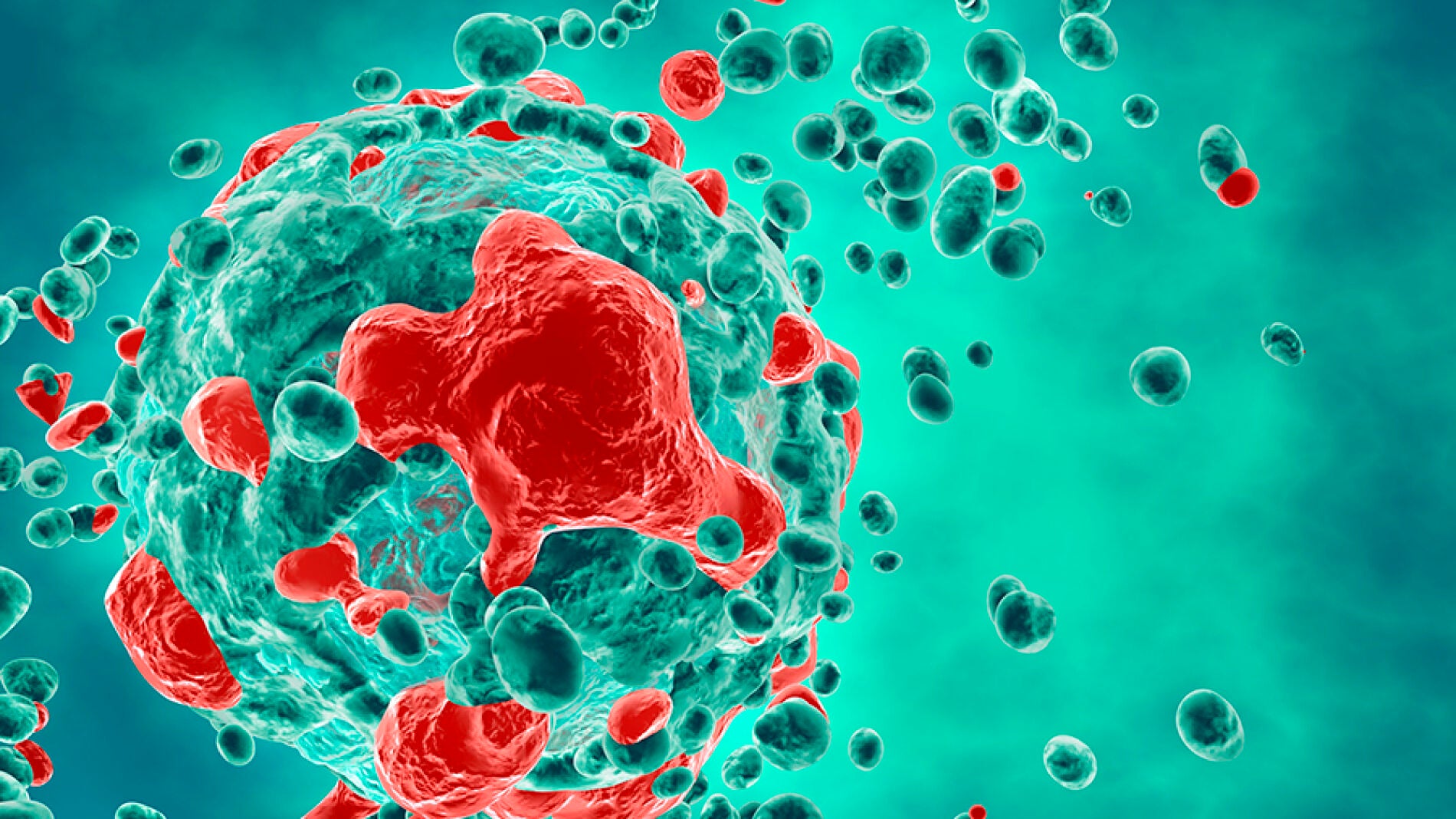 La Universidad de Sevilla consigue un nuevo avance en la b&uacute;squeda de una vacuna contra el c&aacute;ncer