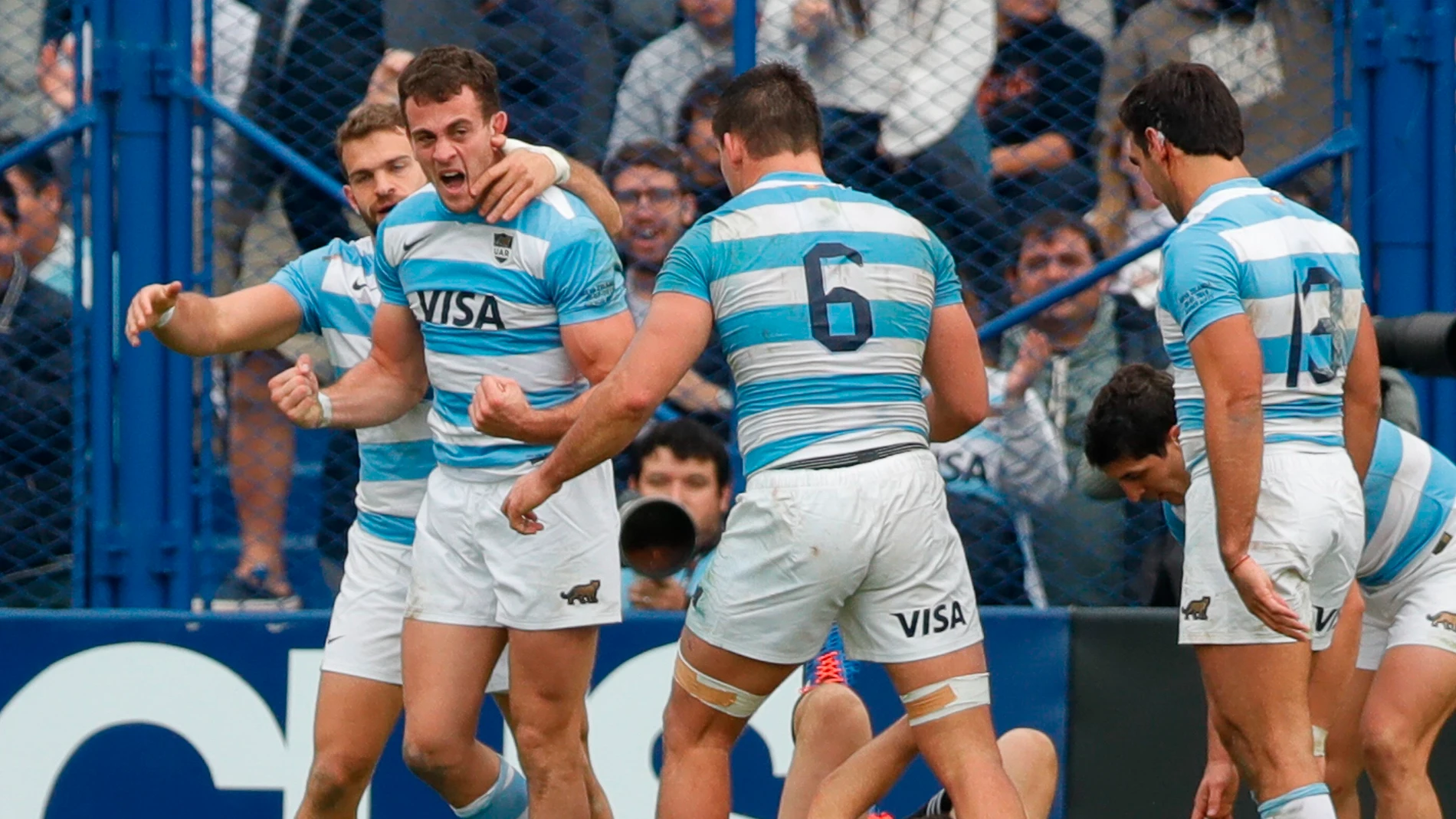 Imagen de archivo de los jugadores de Los Pumas Imagen de archivo de los jugadores de Los Pumas