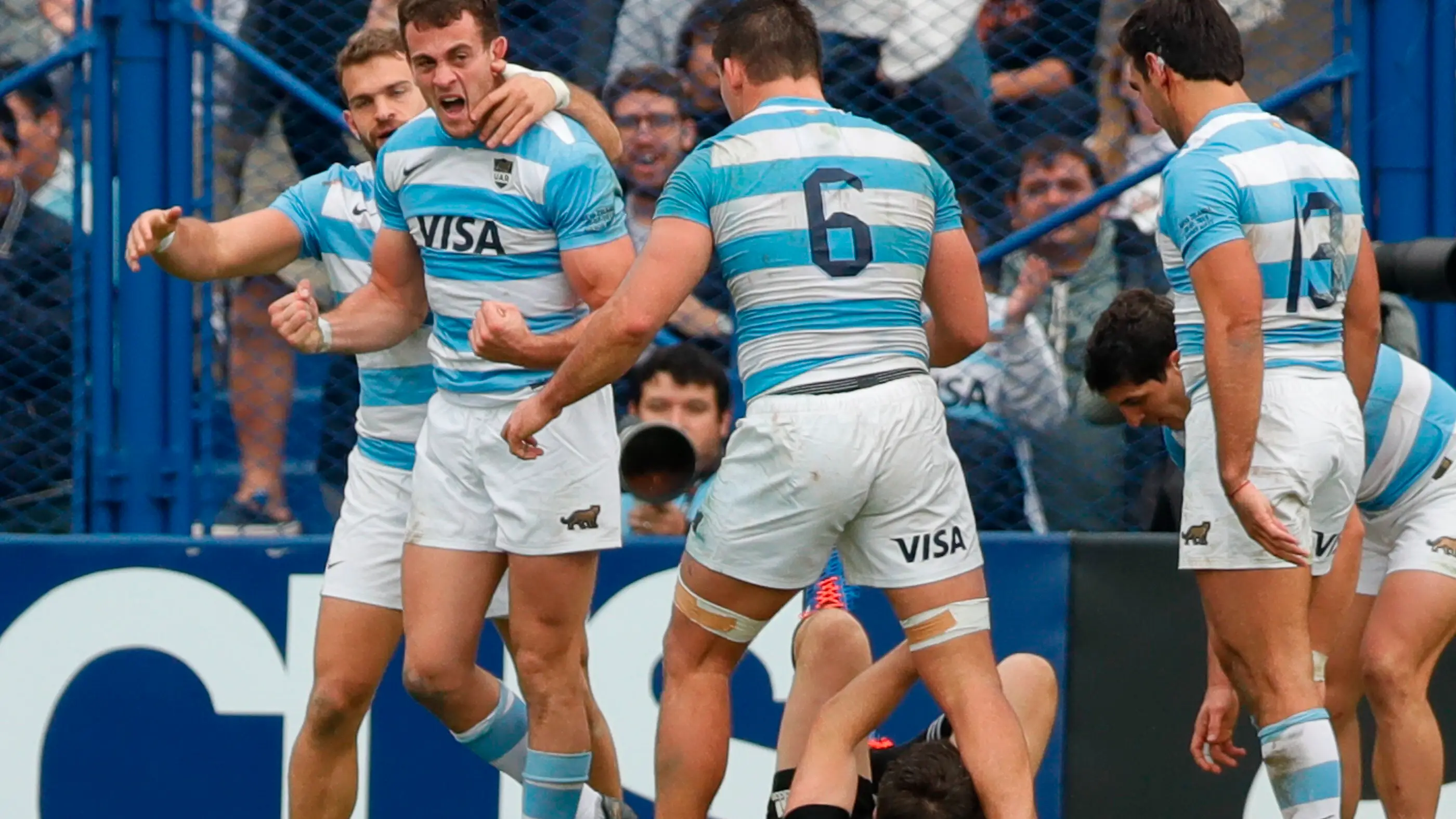 Imagen de archivo de los jugadores de Los Pumas Imagen de archivo de los jugadores de Los Pumas