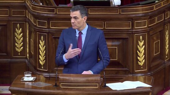 Pedro S&aacute;nchez, en el Congreso