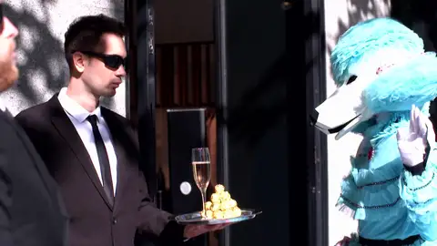 Caniche desvela la una de las preguntas que más le hacen en las pistas: “¿Una pija nace o se hace?” Caniche desvela la una de las preguntas que más le hacen en las pistas: “¿Una pija nace o se hace?”