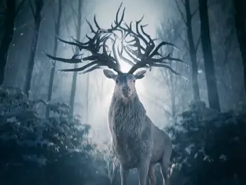 'Shadow and Bone' 'Shadow and Bone'