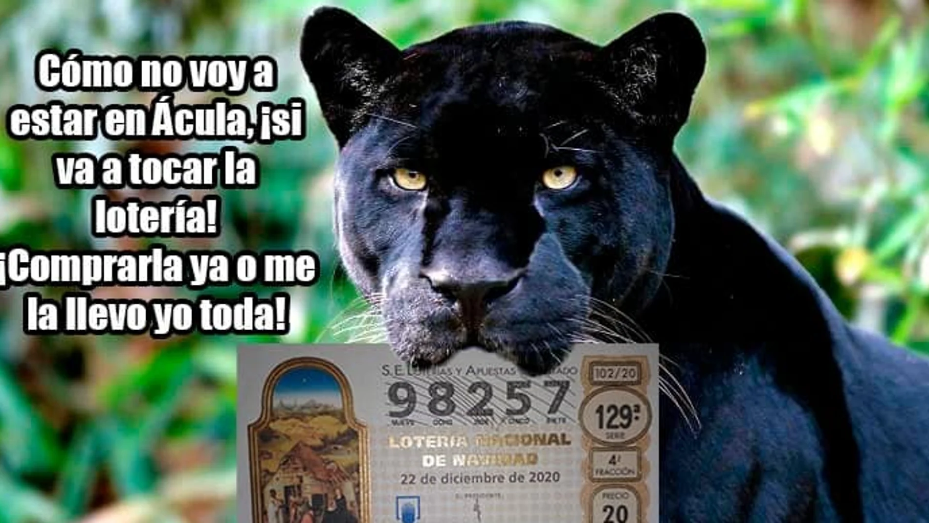 Pantera negra loteria de Navidad Granada Pantera negra loteria de Navidad Granada