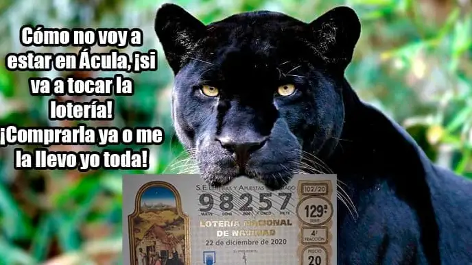 Pantera negra loteria de Navidad Granada