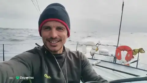 didacregata didacregata