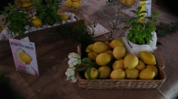 El modelo de producción del limón de Europa, una garantía con sellos de calidad