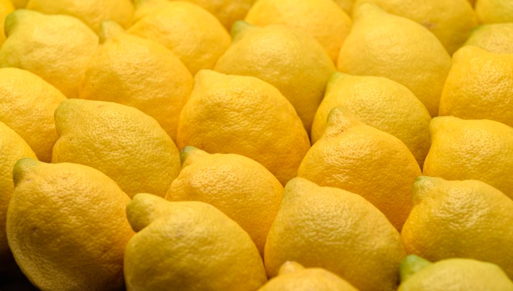 El modelo de producción del limón de Europa, una garantía con sellos de calidad