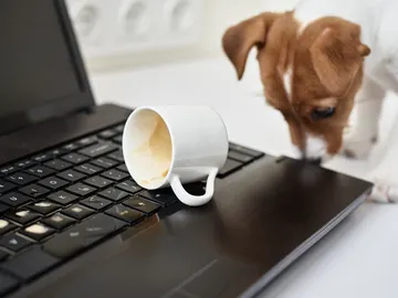 Café en el ordenador Café en el ordenador