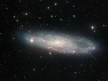 Imagen de la galaxia NGC 247, una de las más cercanas a la Vía Láctea, también en Exotica Catalogue. Imagen de la galaxia NGC 247, una de las más cercanas a la Vía Láctea, también en Exotica Catalogue.