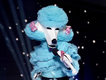 Caniche saca su lado más inocente con 'Oops!... I did it again' de Britney Spears Caniche saca su lado más inocente con 'Oops!... I did it again' de Britney Spears