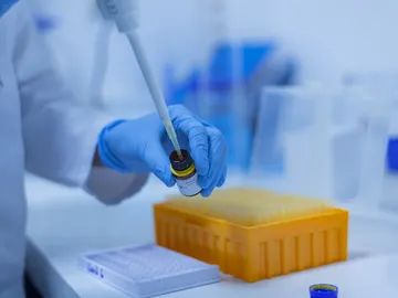 Nueva cepa de coronavirus Nueva cepa de coronavirus