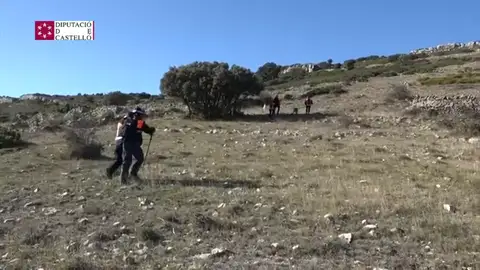 Un amplio dispositivo de búsqueda trata de localizar a un cazador que lleva casi un día desaparecido en Catí (Castellón) Un amplio dispositivo de búsqueda trata de localizar a un cazador que lleva casi un día desaparecido en Catí (Castellón)