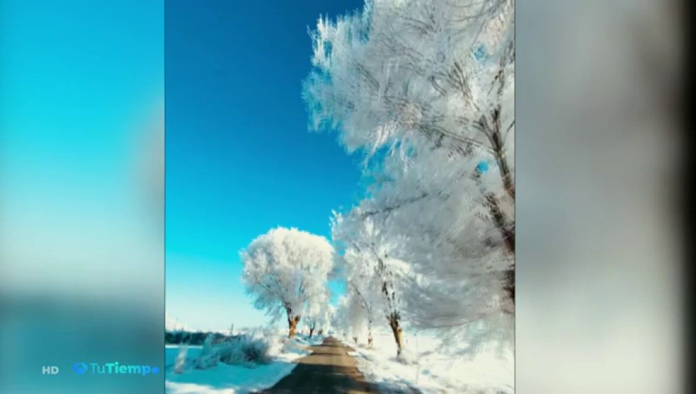 La asombrosa cencellada grabada en Albacete a 16 grados bajo cero