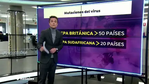 TIPOS DE CEPAS TIPOS DE CEPAS