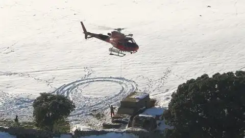 Operación aérea para alimentar a animales aislados por el temporal Filomena Operación aérea para alimentar a animales aislados por el temporal Filomena