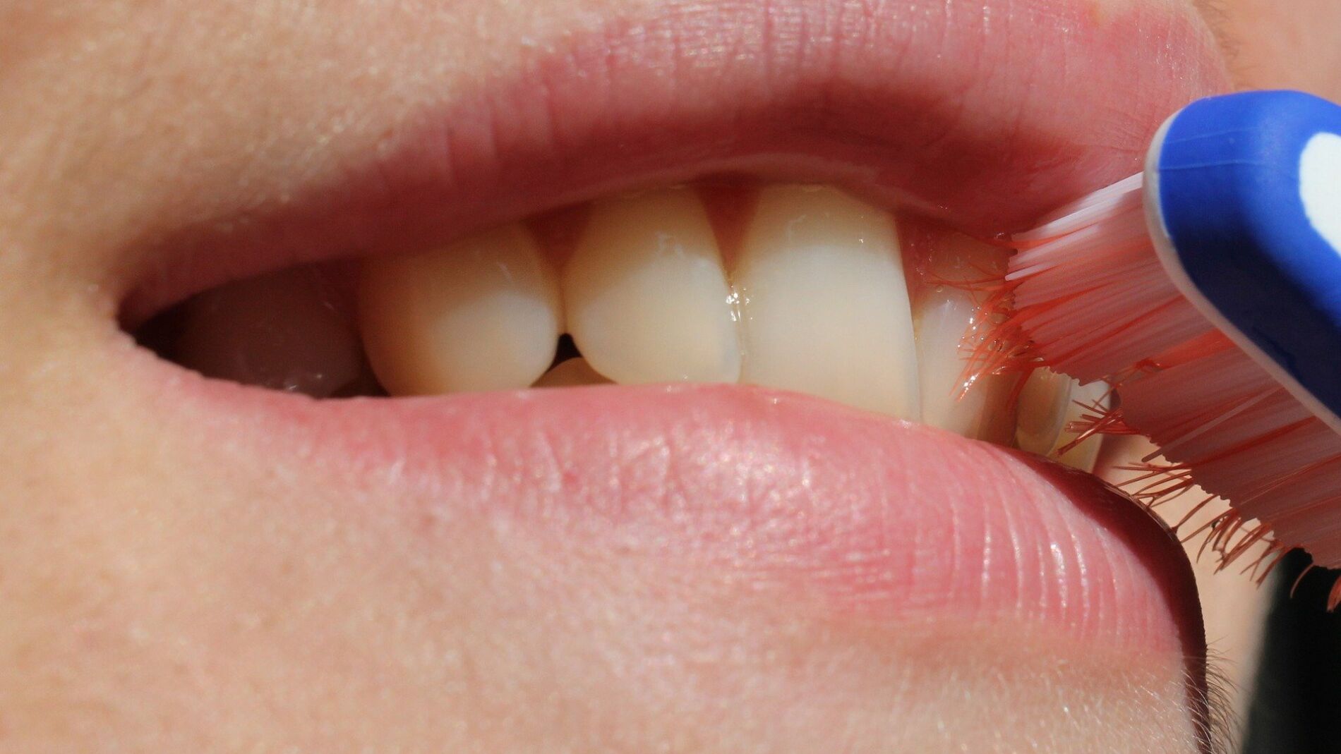 cepillo dientes