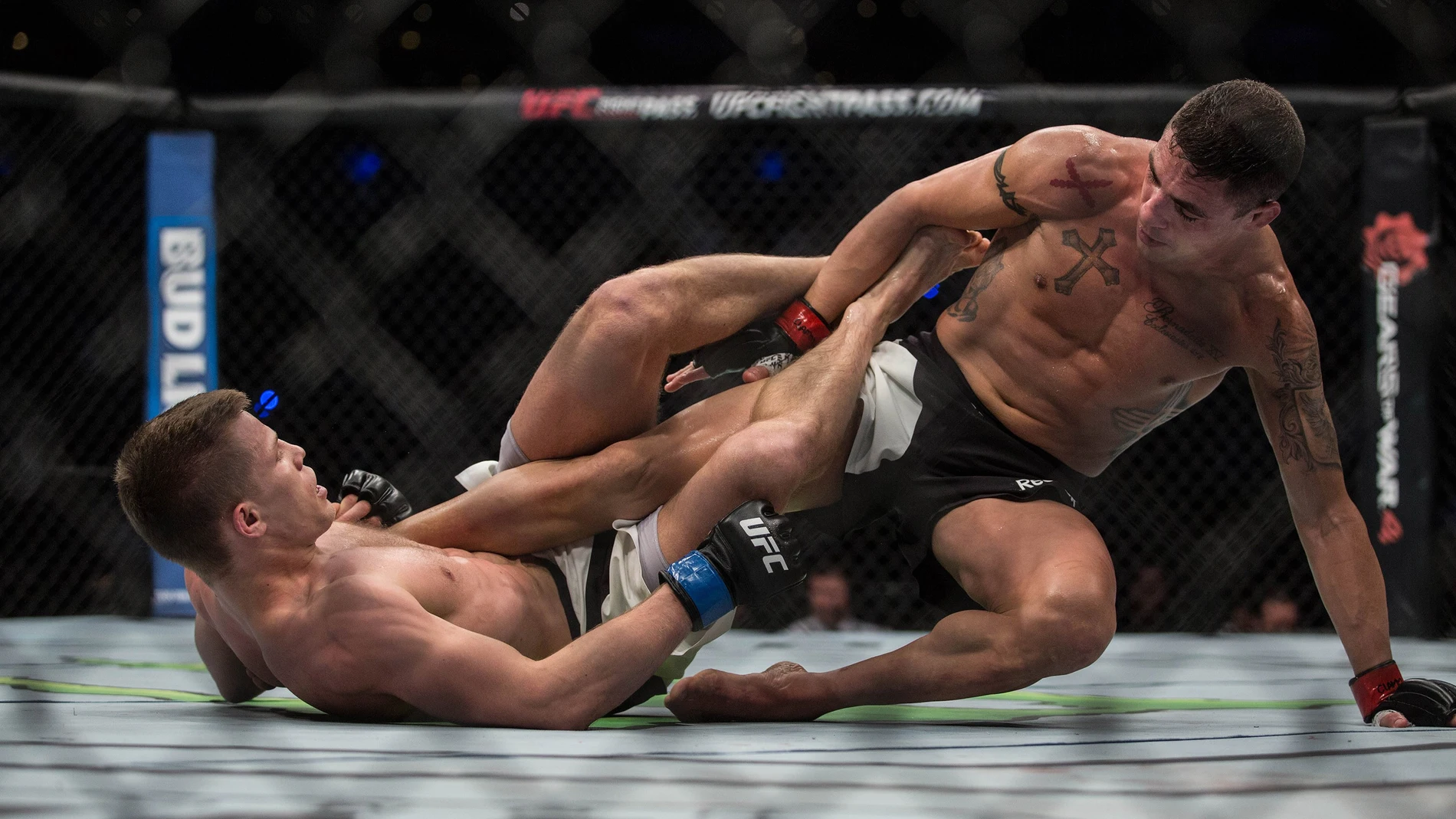 Combate de UFC Combate de UFC