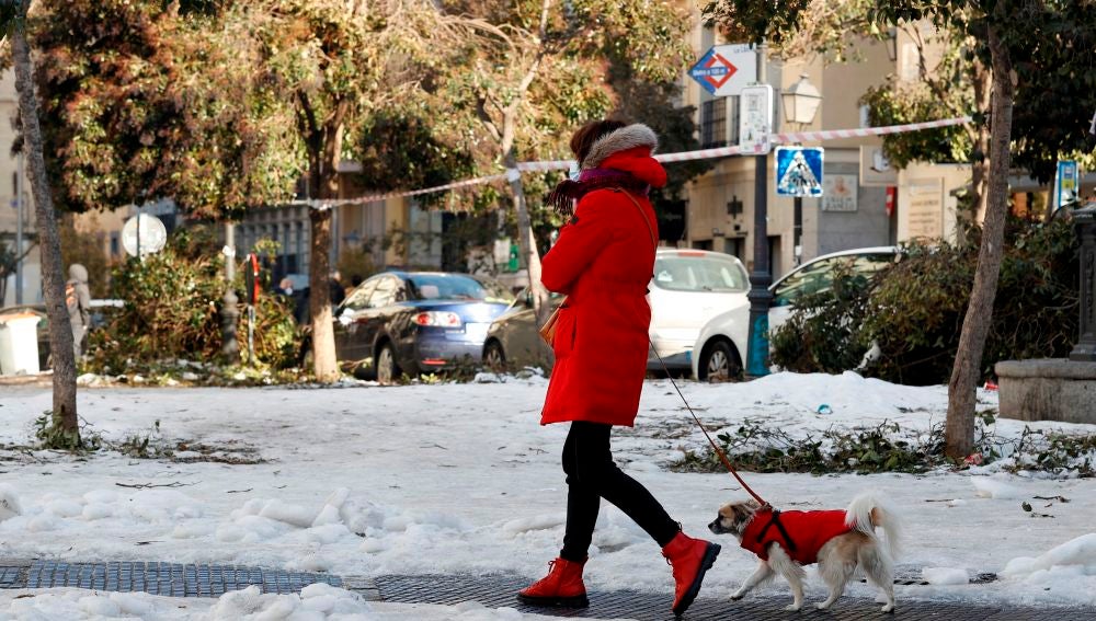 Una mujer pasea con su perro por el centro de Madrid