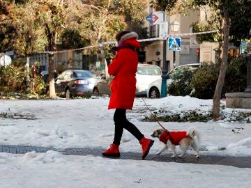 Una mujer pasea con su perro por el centro de Madrid