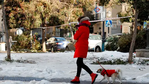 Una mujer pasea con su perro por el centro de Madrid Una mujer pasea con su perro por el centro de Madrid