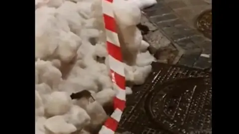 Ratas en una calle de Madrid Ratas en una calle de Madrid