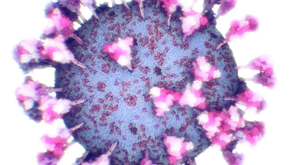 Primera imágenes reales del COVID-19: así se ve el coronavirus en 3D