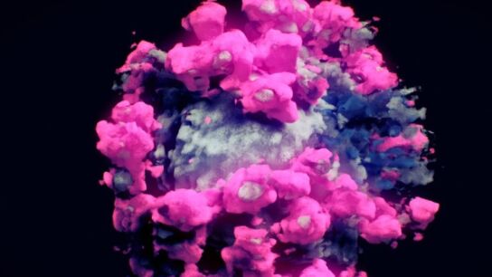 Primera imagen real del coronavirus