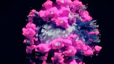 Primera imagen real del coronavirus Primera imagen real del coronavirus