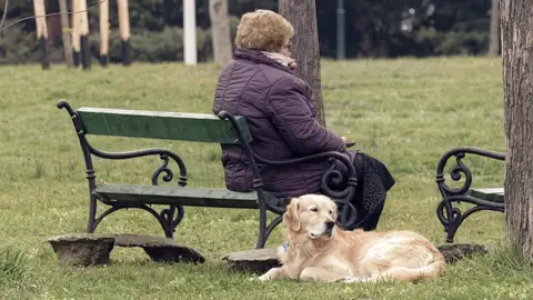 señora y perro