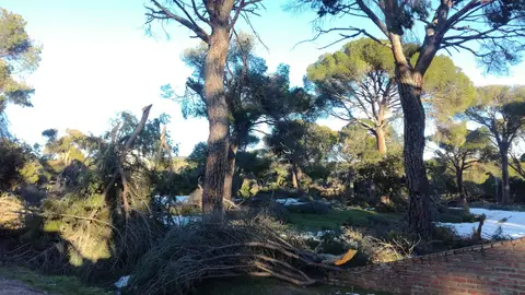 Fuertes vientos en Madrid hoy Fuertes vientos en Madrid hoy