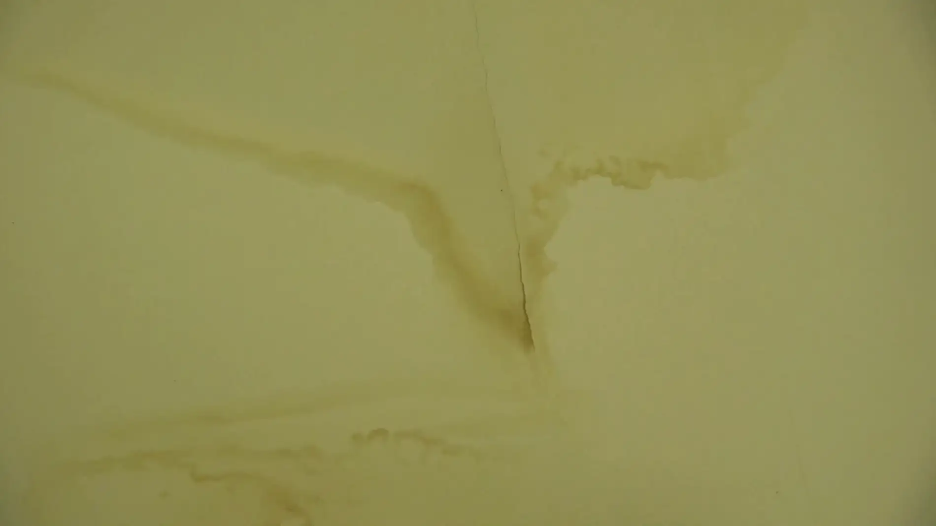 Cómo eliminar la humedad de las paredes
