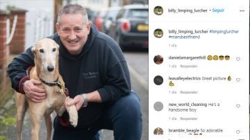 Instagram de billy_limping_lurcher