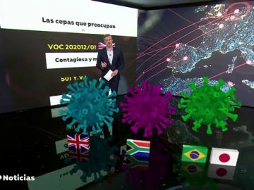 La Comunidad de Madrid informa del primer caso detectado de la variante brasileña del coronavirus en la región