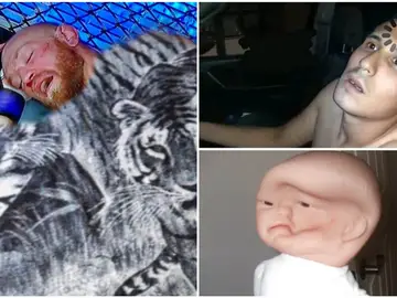 Memes sobre la derrota de McGregor Memes sobre la derrota de McGregor