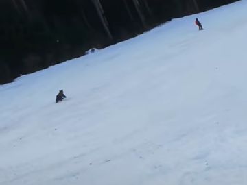 Graban a un esquiador huyendo de un oso en pleno descenso por una pista de esquí 