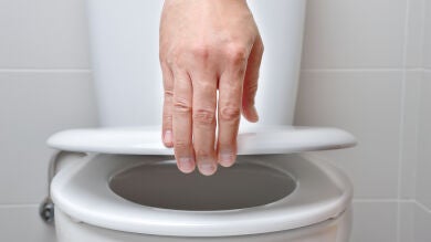 La prueba de lo importante que es bajar la tapa del váter antes de tirar de la cadena