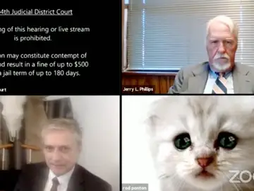 Filtro gato videoconferencia Filtro gato videoconferencia