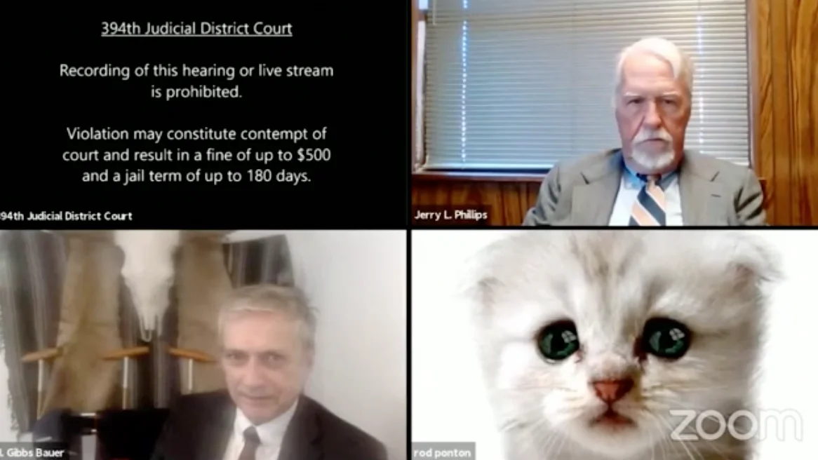 Filtro gato videoconferencia