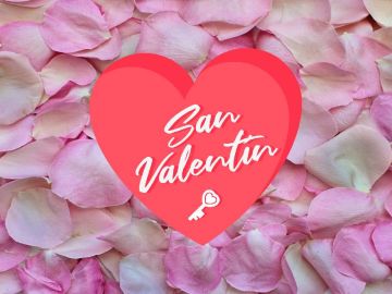 ¿Qué flores puedo regalar por San Valentín? 