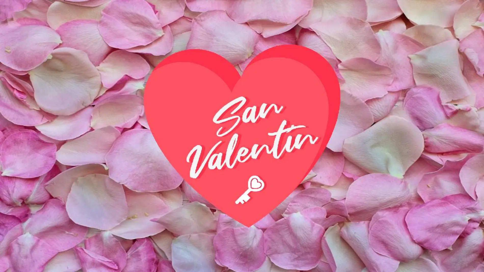¿Qué flores puedo regalar por San Valentín? ¿Qué flores puedo regalar por San Valentín?