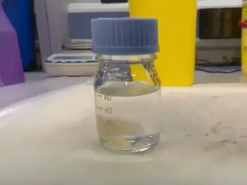 'Aplidium albicans' hallado en las aguas de Ibiza y Formentera podría curar el coronavirus 'Aplidium albicans' hallado en las aguas de Ibiza y Formentera podría curar el coronavirus