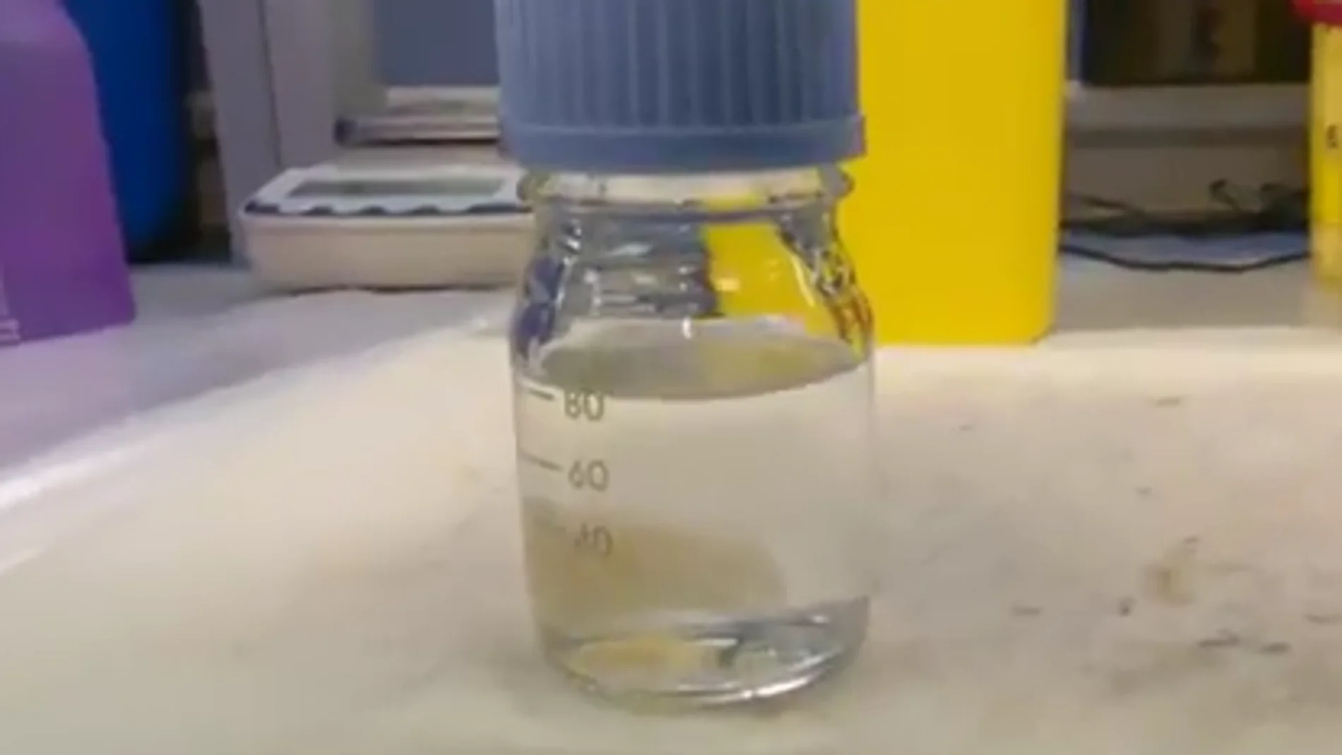 'Aplidium albicans' hallado en las aguas de Ibiza y Formentera podría curar el coronavirus 'Aplidium albicans' hallado en las aguas de Ibiza y Formentera podría curar el coronavirus