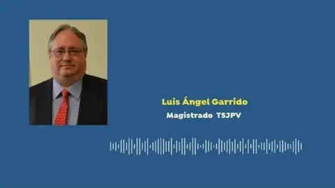 Luis Ángel Garrido, juez del TSJPV menosprecia a los epidemiólogos hostelería Luis Ángel Garrido, juez del TSJPV menosprecia a los epidemiólogos hostelería
