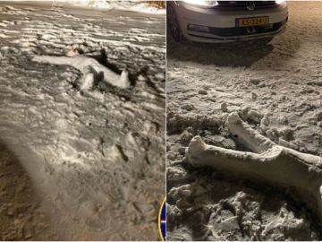 La policía de Amsterdam confunde un cadáver en plena calle con un muñeco de nieve